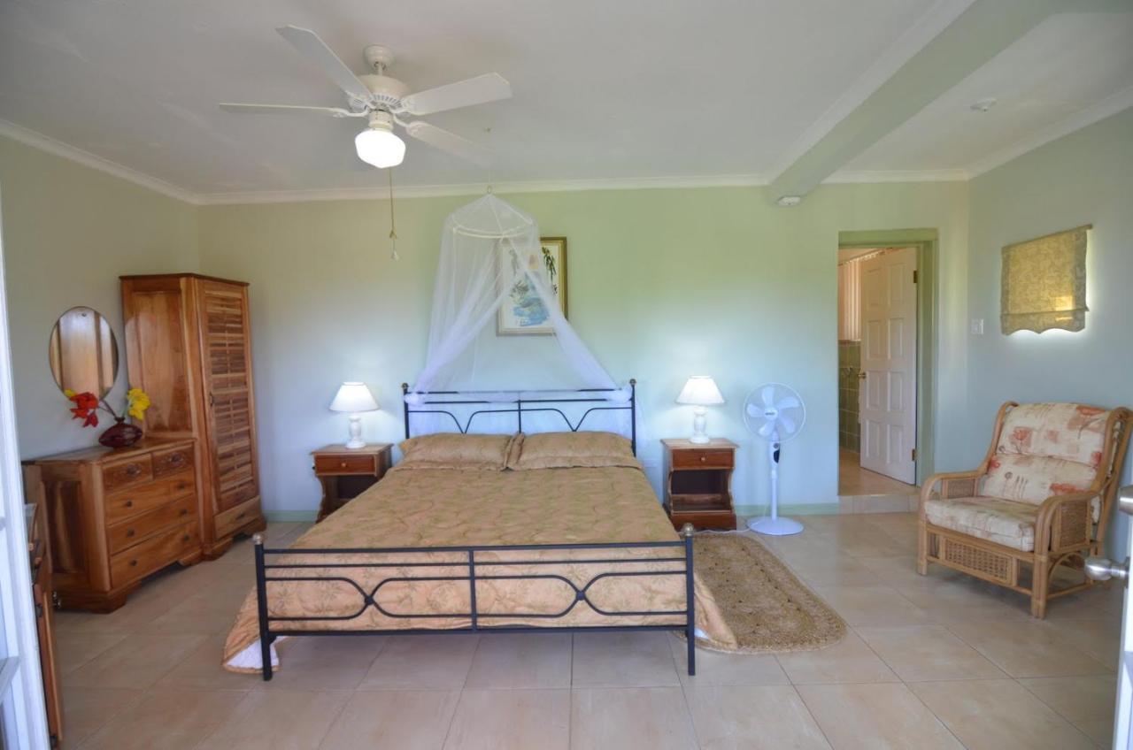 Pimento Lodge Resort Port Antonio Ngoại thất bức ảnh