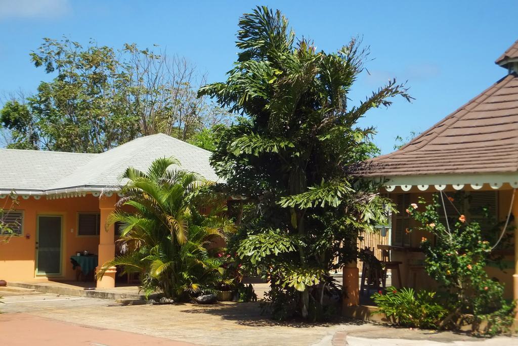 Pimento Lodge Resort Port Antonio Ngoại thất bức ảnh