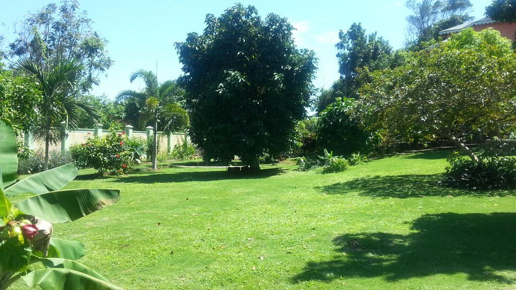Pimento Lodge Resort Port Antonio Ngoại thất bức ảnh