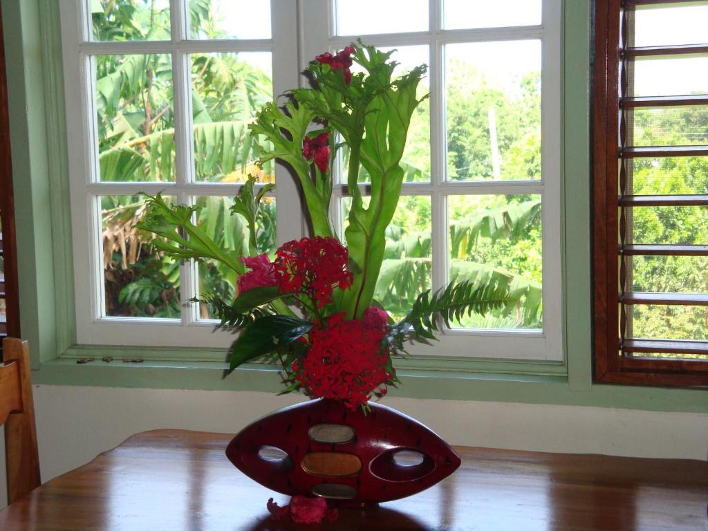 Pimento Lodge Resort Port Antonio Phòng bức ảnh