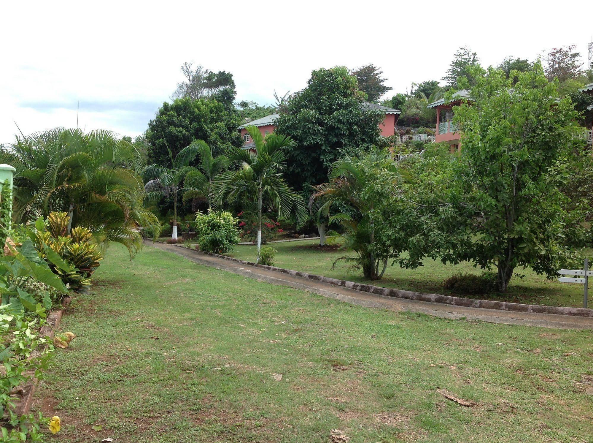 Pimento Lodge Resort Port Antonio Ngoại thất bức ảnh
